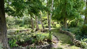 Photo 46- click for photo gallery